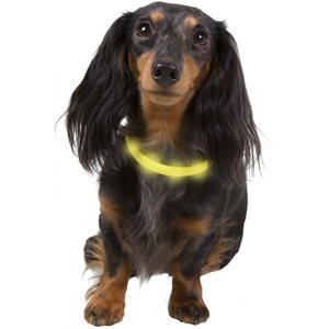 Best Friend Gear LED light collar