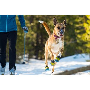 Ruffwear Polar Trex, 2kpl