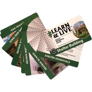 UST Learn & Live Cards