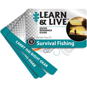 UST Learn & Live Cards
