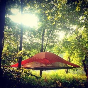 Tentsile Vista Tree Tent