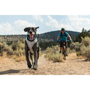 Ruffwear Jet Stream