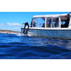 PADI Boat Diver (incl. boat trip)