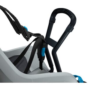 Thule RideAlong Mini