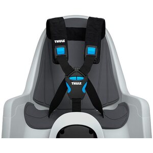 Thule RideAlong Mini
