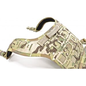 FROG.PRO LC-Enhanced Harness