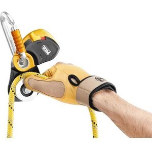 Petzl Pro Traxion