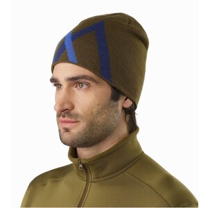 Arc'teryx Arc Mountain Toque