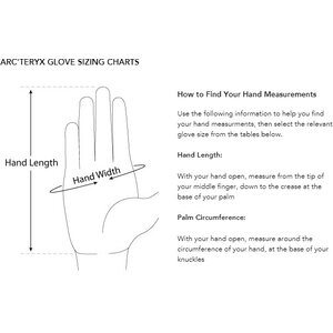 Arc'teryx Alpha AR Glove