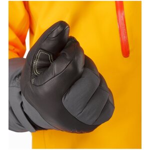 Arc'teryx Alpha AR Glove