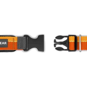 Ruffwear Roamer Leash