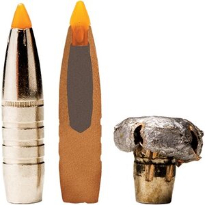 Federal .30-06 Sprg Trophy Bonded Tip 11,7g / 180grs 20kpl