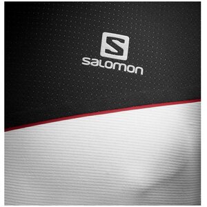 Salomon Fast Wing HZ SS Tee M