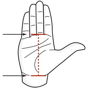 Picsil Azor Grips for two finger