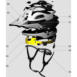 Sweet Protection Bushwhacker II MIPS Helmet