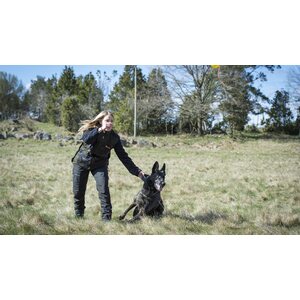 Pinewood New Dog Sports Vest Womens