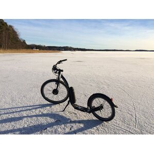 Kickbike eCruise