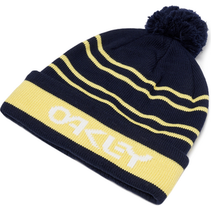 Oakley B1B Beanie (Striped)