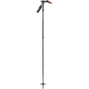 Black Diamond Carbon Whippet Pole