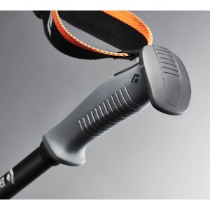 Black Diamond Carbon Whippet Pole