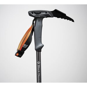 Black Diamond Carbon Whippet Pole