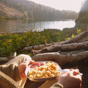 ECOlunchbox Lunchtray