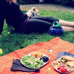 ECOlunchbox Lunchtray