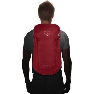 Osprey Skarab 22