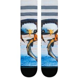 Stance Eddy