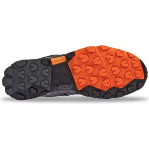 Inov-8 Roclite 320 GTX Men
