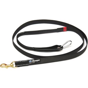 Kickbike Cross Fix with dog adapter and pulling line