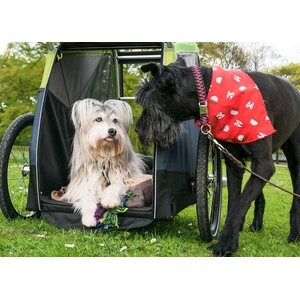 Croozer Dog XL