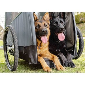 Croozer Dog XXL