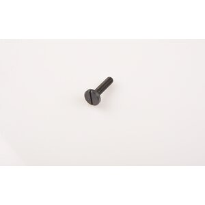 Recknagel M4 Screw for QR mount