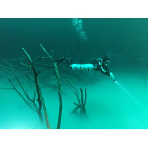 EW Dive Meksikon Cenotet: suorat lennot, luxusmajoitus 1.3-15.3.2020