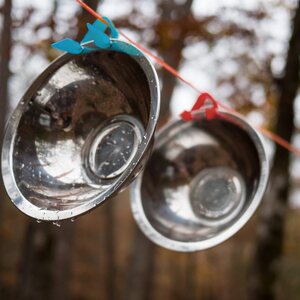 Solo Stove Flex Strap Bowls