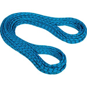 Mammut 9.5 Infinity Protect Standard 70m