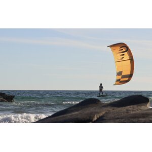 Eleveight Carvair 4'3'' (131cm)