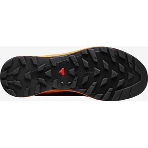 Salomon X Alpine Pro