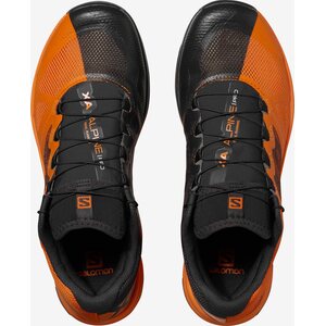 Salomon X Alpine Pro