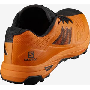Salomon X Alpine Pro