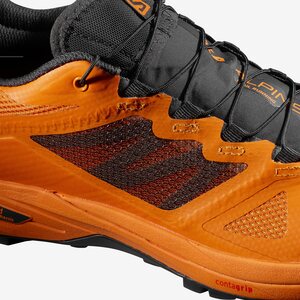 Salomon X Alpine Pro