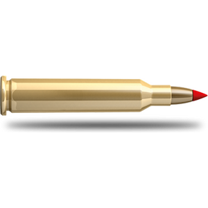 .17 Hornet náboje