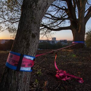 Elephant Slacklines Rookie Flash Line Set 15m