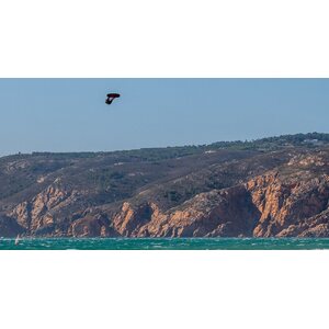 Ozone Edge V10 Kite Only 10m²