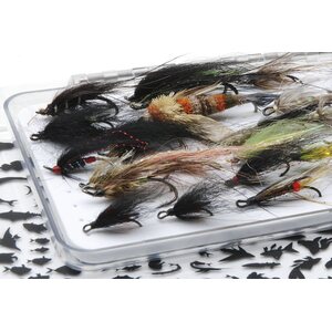 Vision Dry 20 Compartments