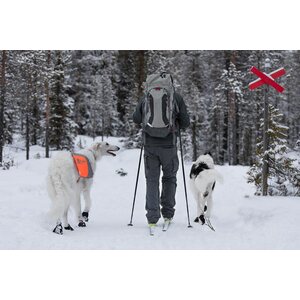 Non-stop Dogwear Solid Socks, 4 kpl