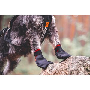 Non-stop Dogwear Solid Socks, 4 kpl