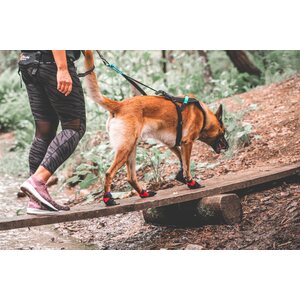 Non-stop Dogwear Solid Socks, 4 kpl