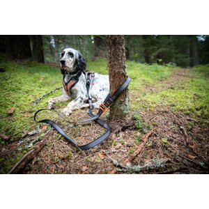 Non-stop Dogwear Touring Bungee Adjustable